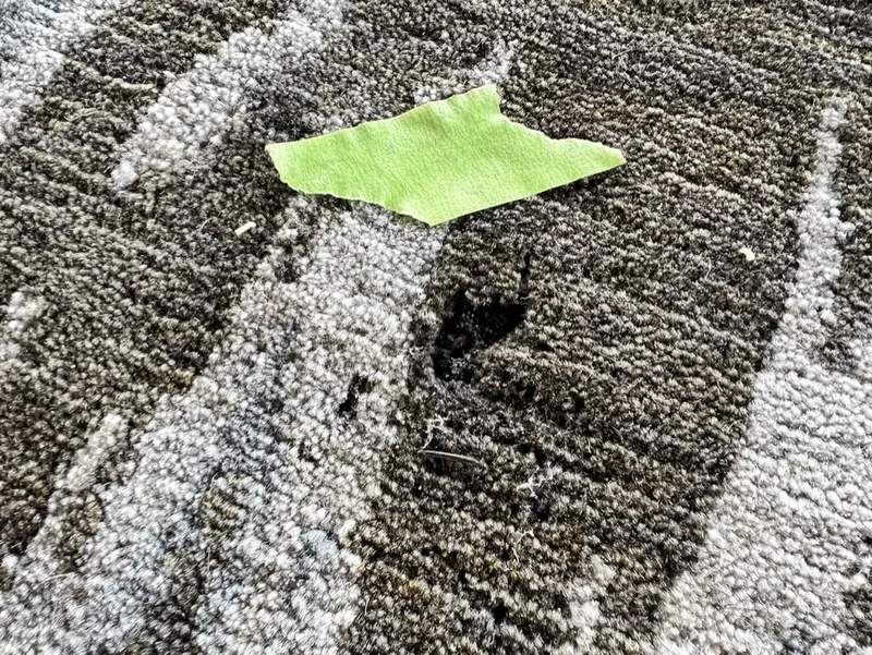 A moth hole in a wool rug flagged with green tape during inspection