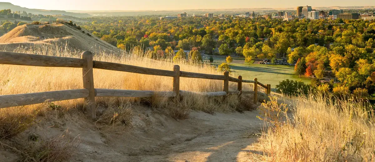 The Boise Foothills at sunrise looking down over the tree canopy and the downtown Boise skyline