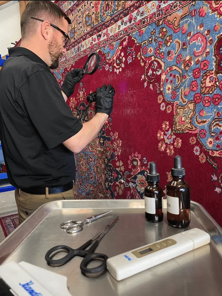 Spot treatment applied to a rug before full-immersion washing