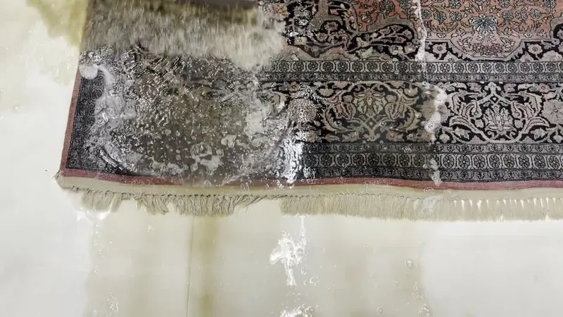Dirty rinse water swept off a Persian rug during a full-immersion wash in Boise
