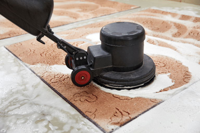 A person cleaning a rug, demonstrating effective cleaning techniques for area rugs.
