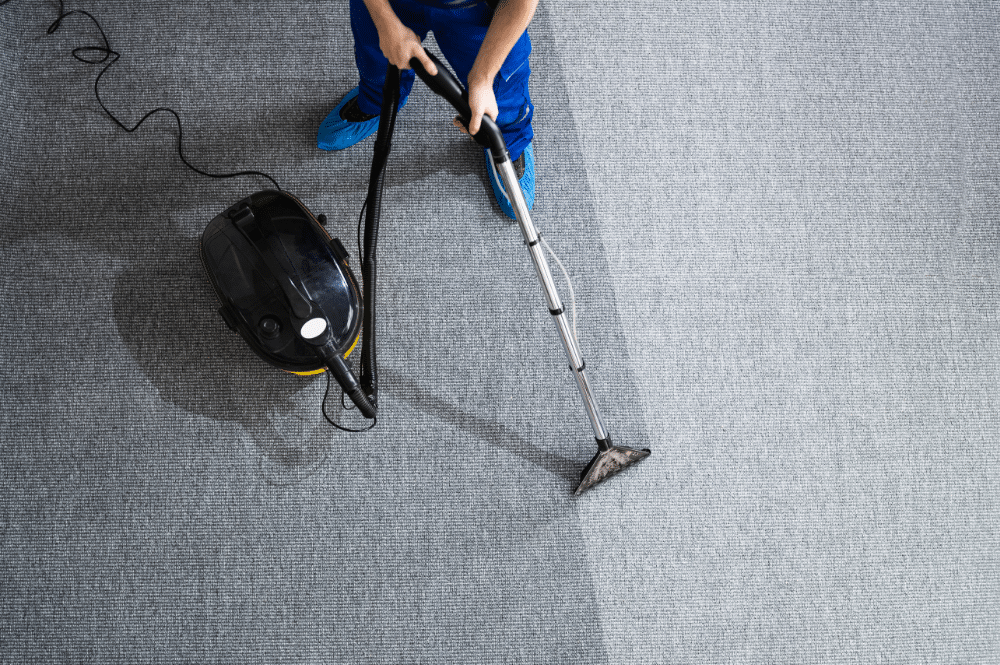 A person meticulously cleans a carpet, showcasing the science of effective carpet cleaning techniques.